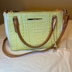 Brahmin Chartruse / White Bag